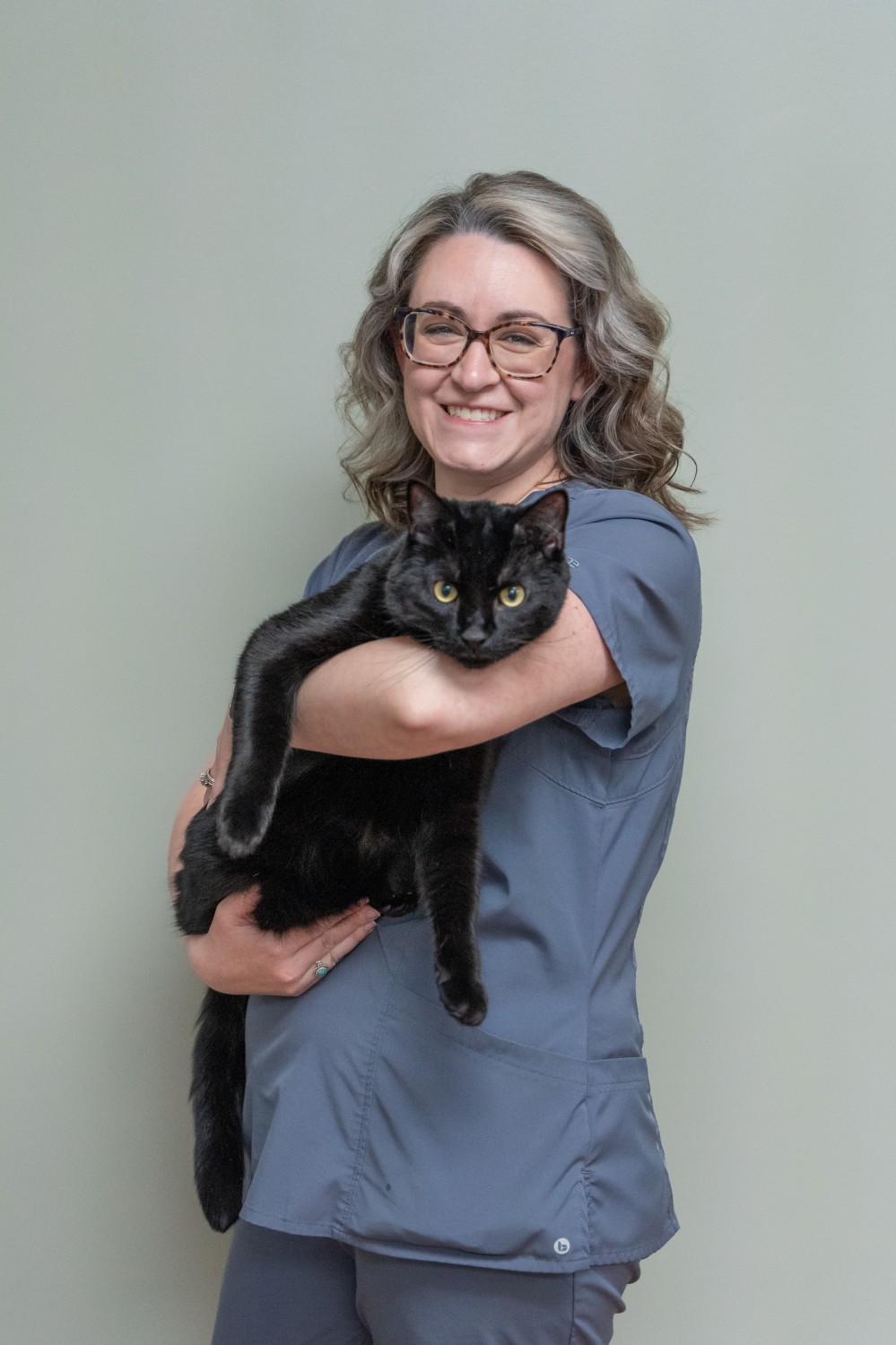 Our Team Lyndon Veterinary Clinic Fayetteville, NY